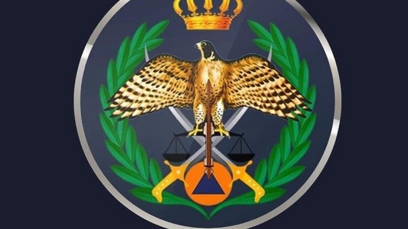 الامن العام :الدفاع المدني يخمد حريقاً شب في مستودع يحتوي على أخشاب في محافظة العاصمة 