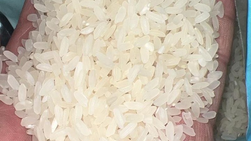 ‎حملة رقابية موسعة للغذاء والدواء تستهدف معامل تعبئة الأرز والحبوب